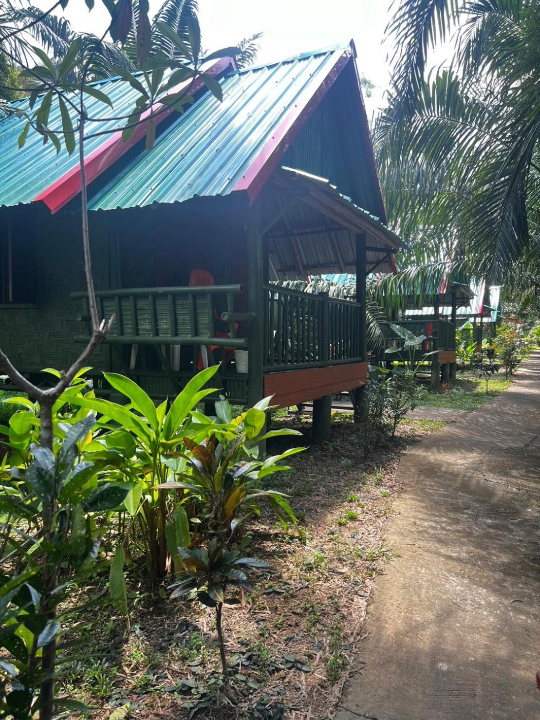 Khaosok Bamboo Huts Resort Khao Sok National Park Esterno foto